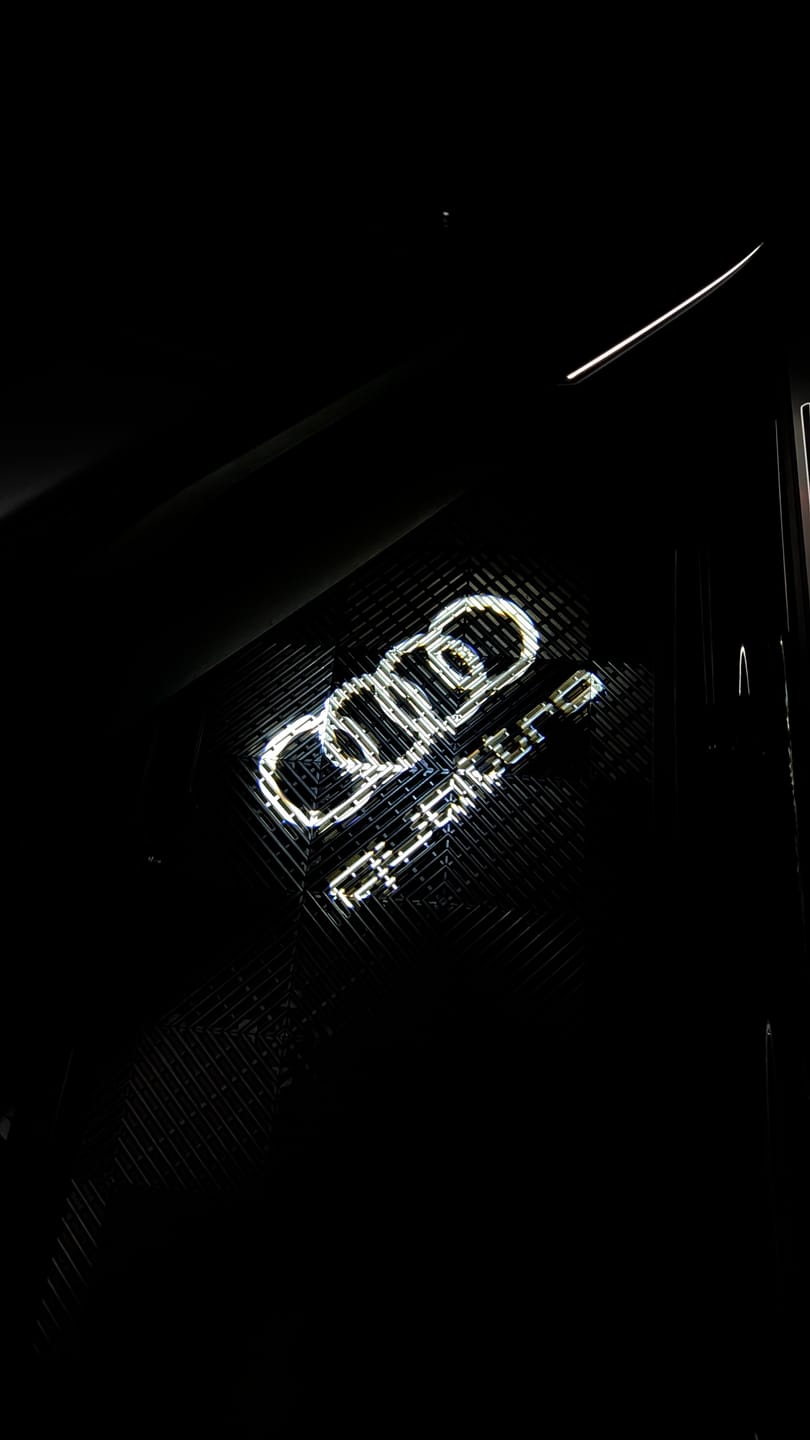 Customer photo review of AUDI DOOR LIGHTS