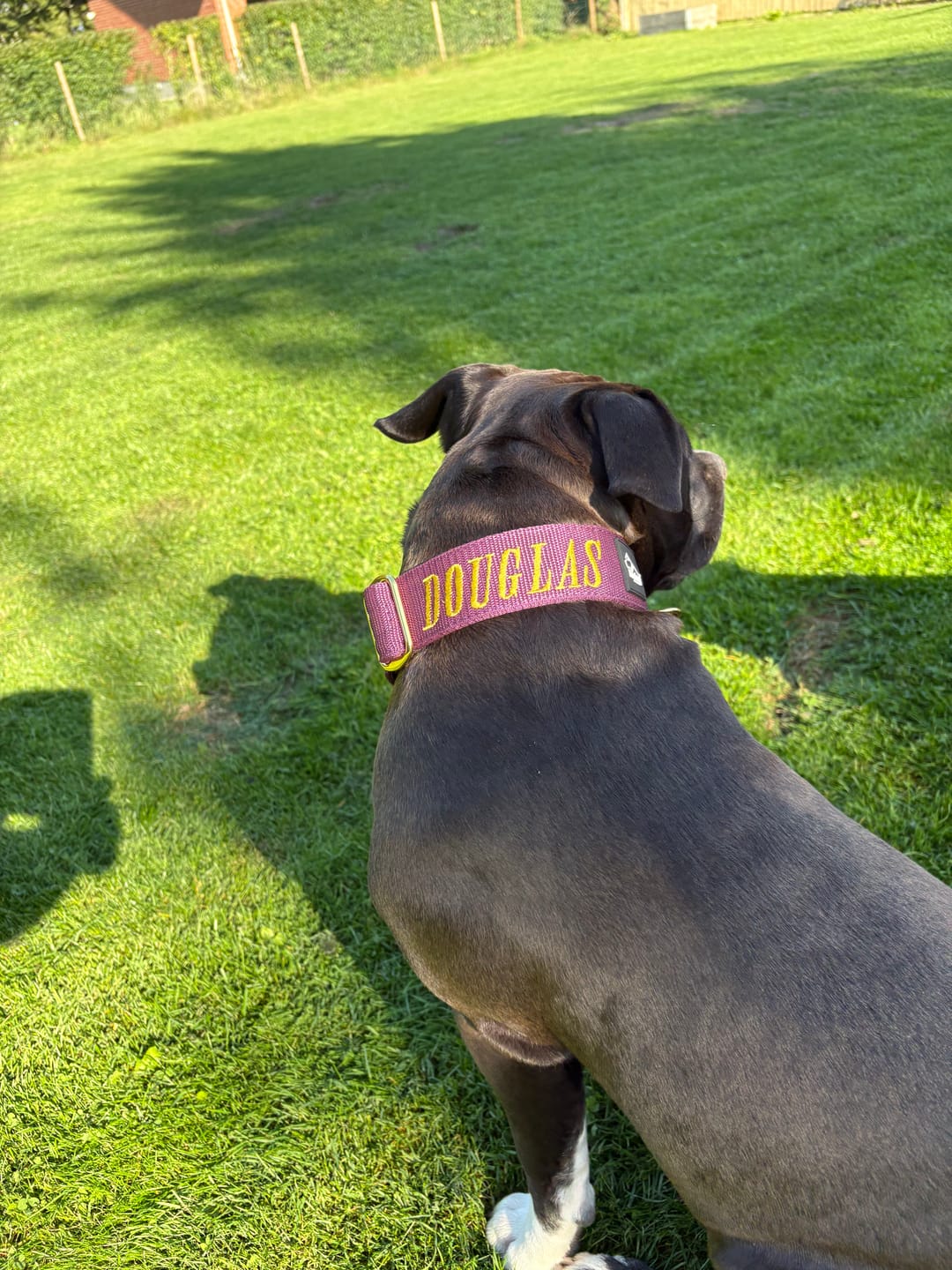 Customer photo review of Extreme Buckle med namn