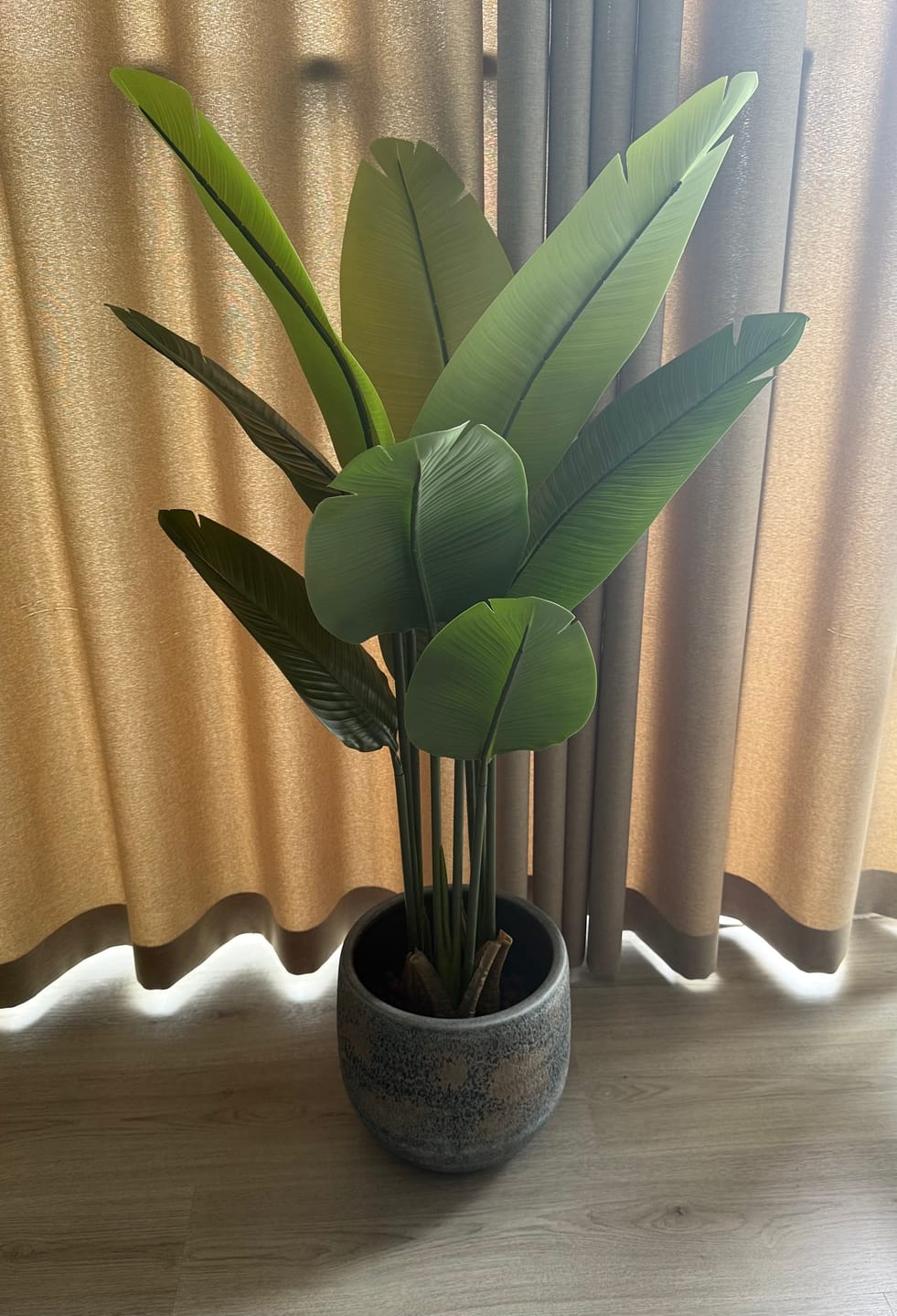Customer photo review of Strelitzia Kunstplant 120cm