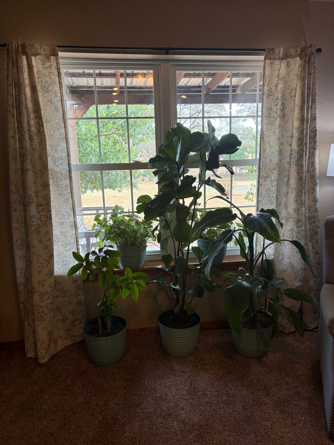 Customer photo review of Floral Lined Linen Blend Curtains (2 Panels)