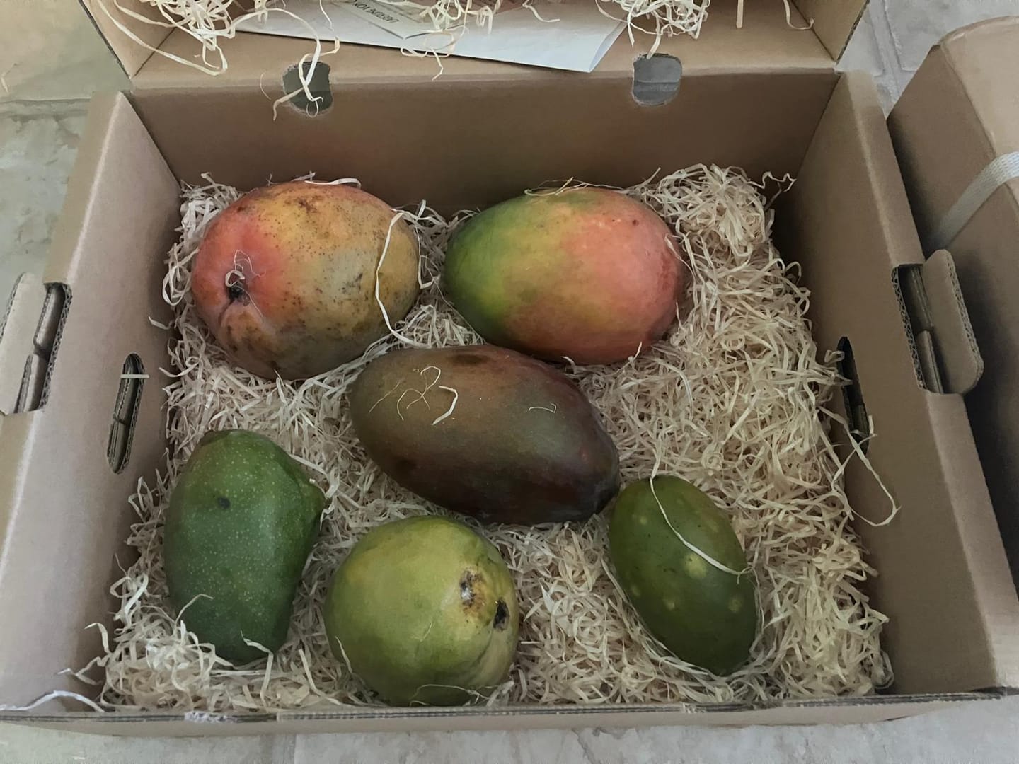 Customer photo review of Mango Mix von Juan 3kg Aktion %