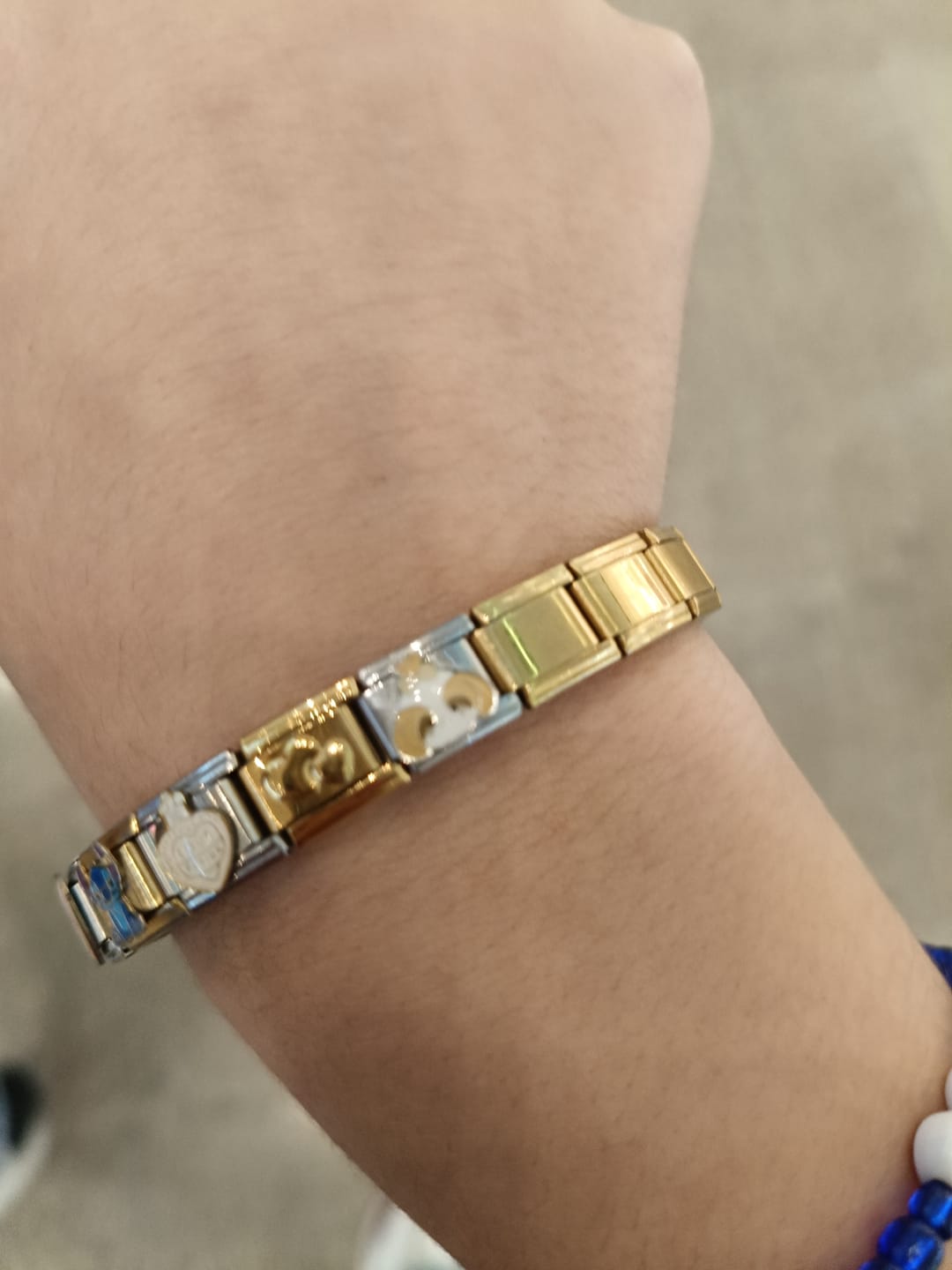 Customer photo review of IB Charm Perritos Dog