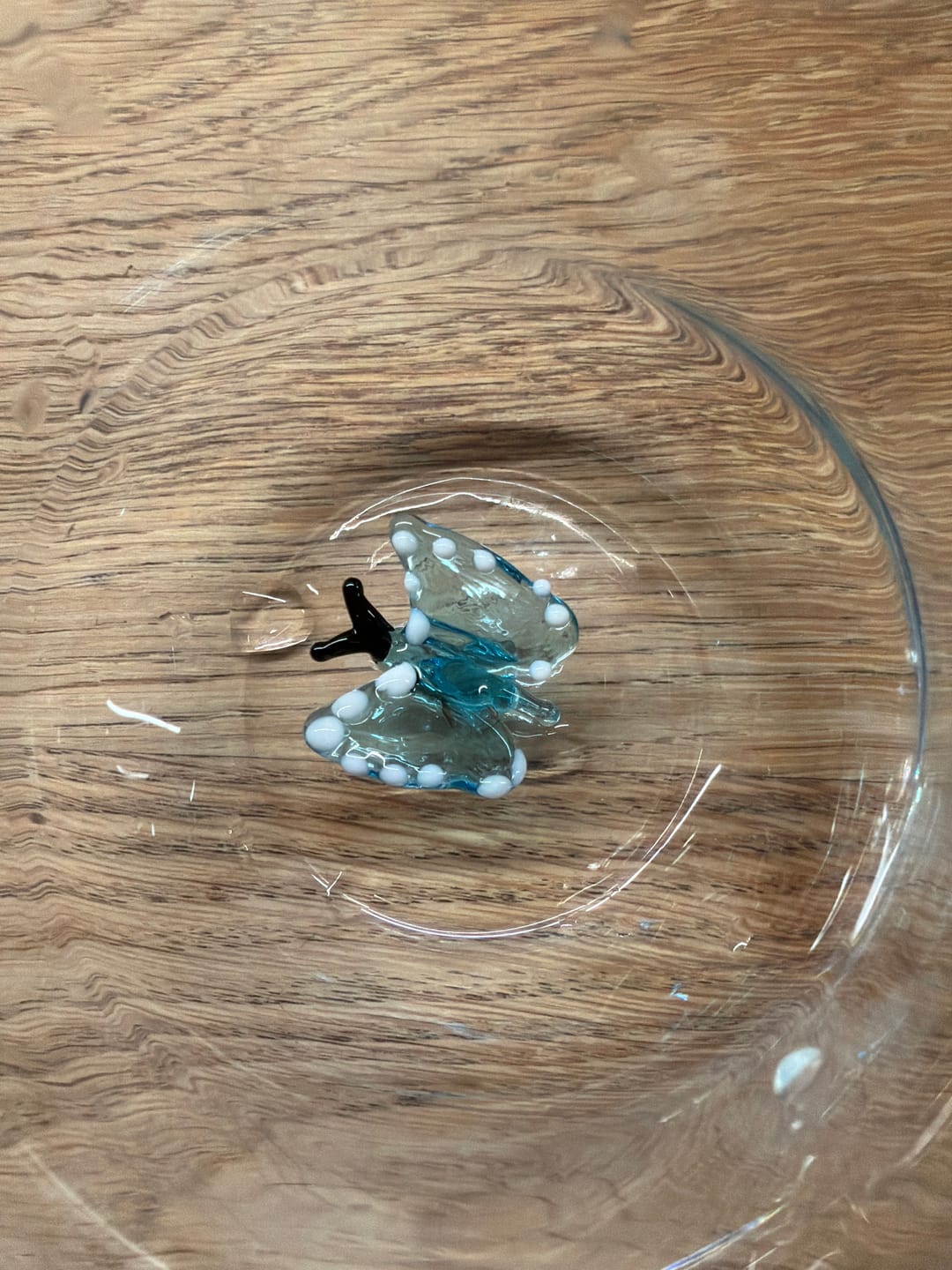 Customer photo review of Butterfly Glass