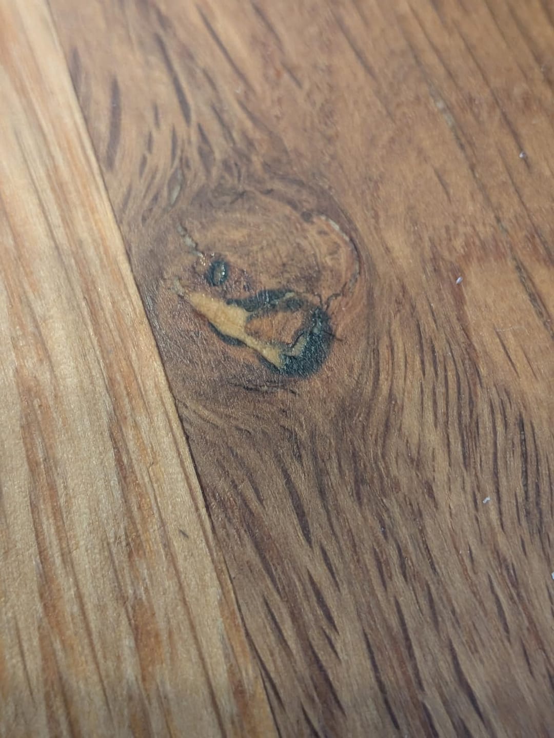 Customer photo review of Mastic à bois Aquelie pour fissures et trous