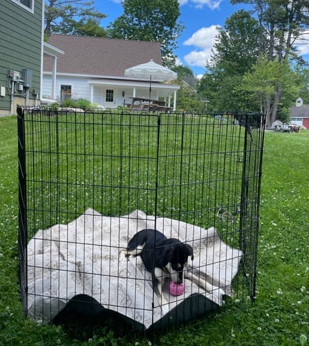 Customer photo: Freezball Bundle