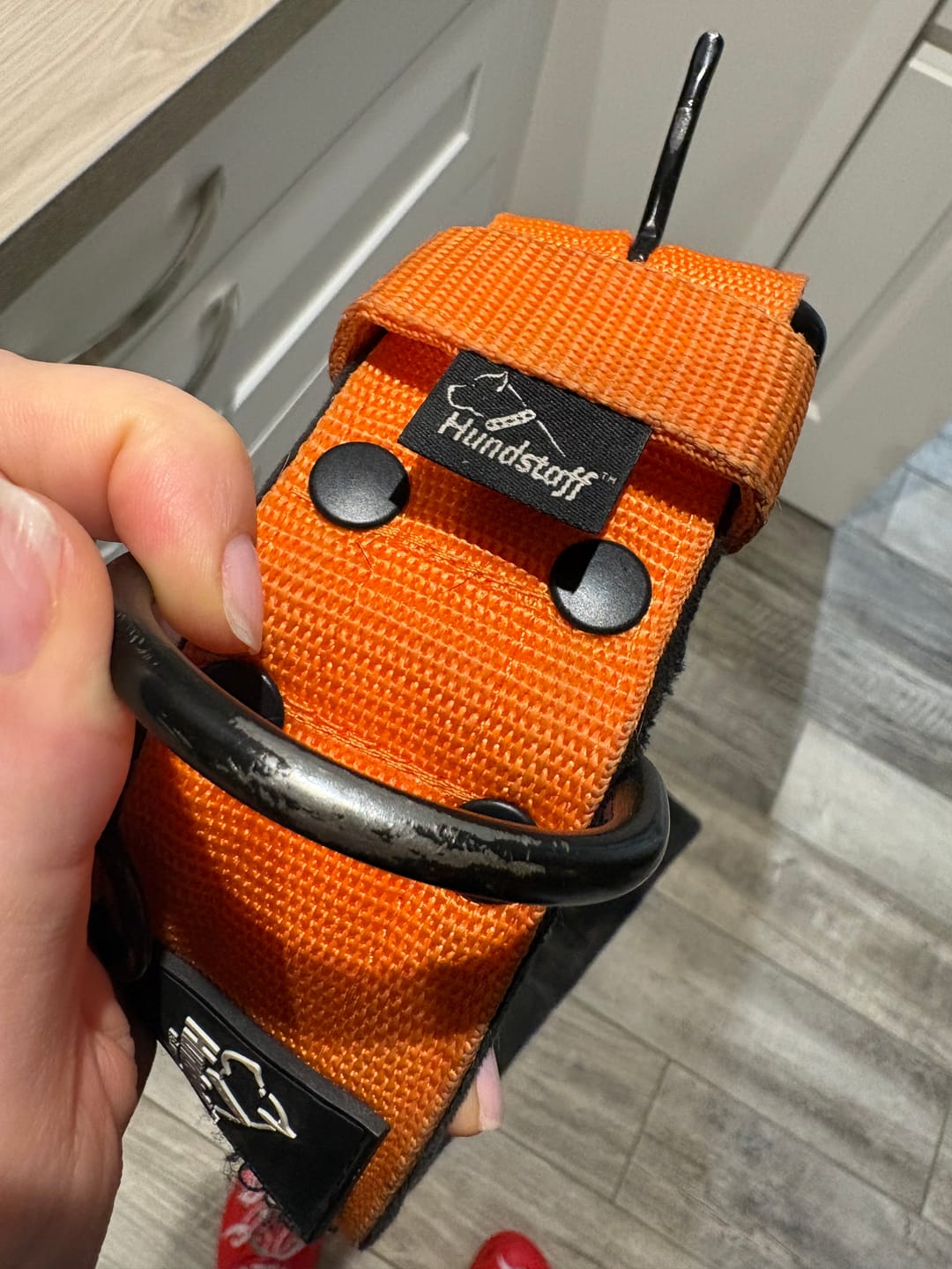 Customer photo review of Hundhalsband med namn