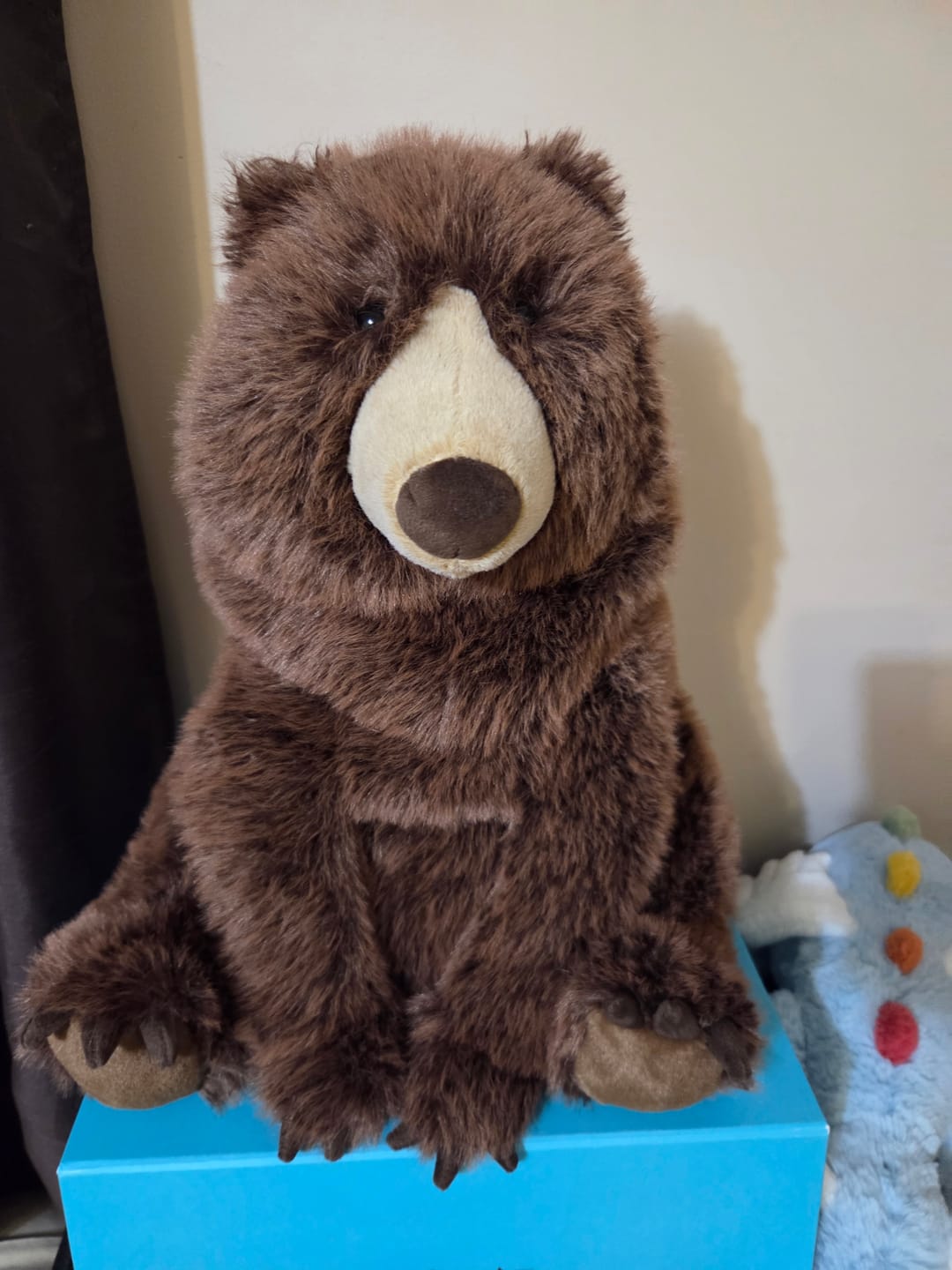 Customer photo review of Bizzlestomp Bear by Jellycat
