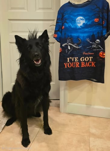 Reviewer's black dog sitting beside the I've Got Your Back personalized Halloween shirt on a door.