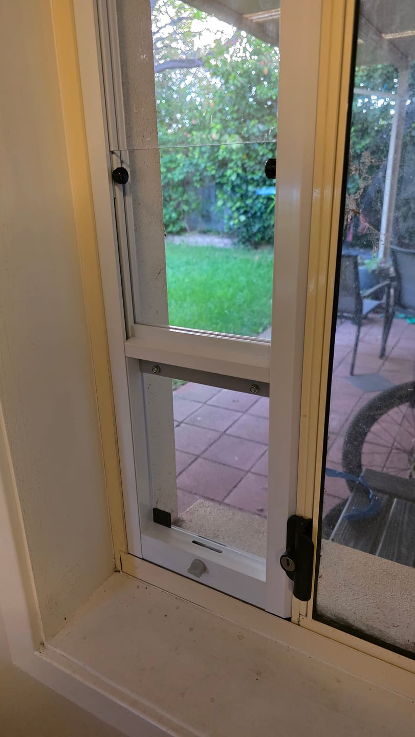 Customer photo review of Cat Door, Cat Window Insert