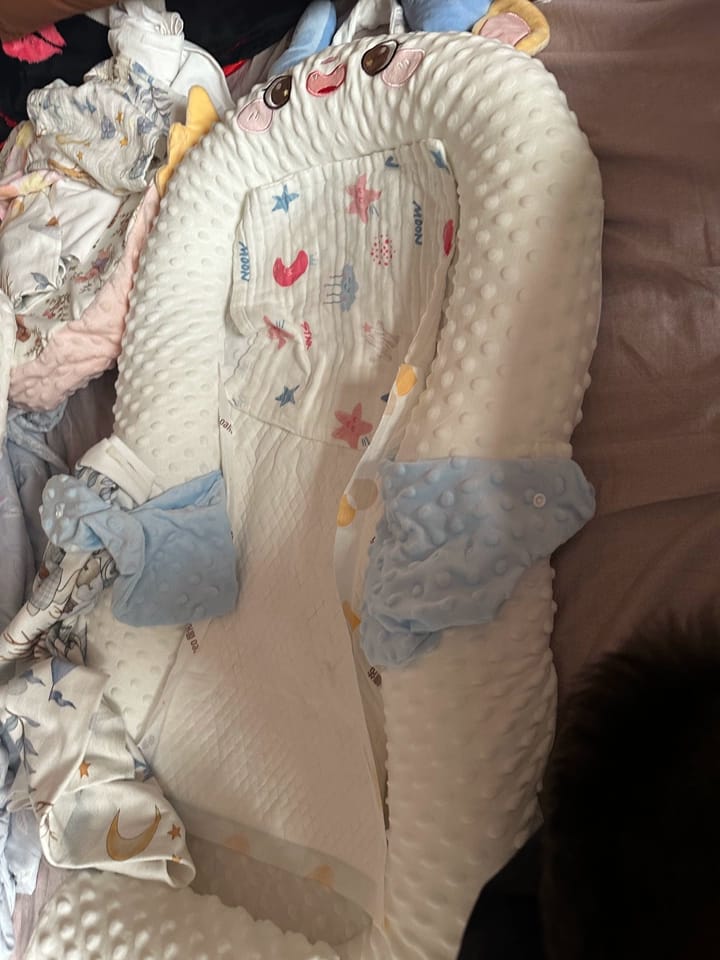 Customer photo review of Patting Animal Baby Nest Pillow