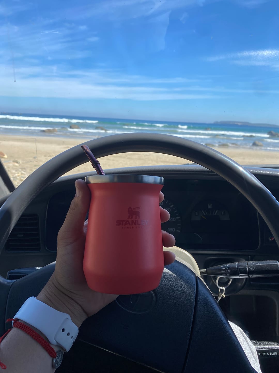 Customer photo review of Mate Hot Coral| 236 ml