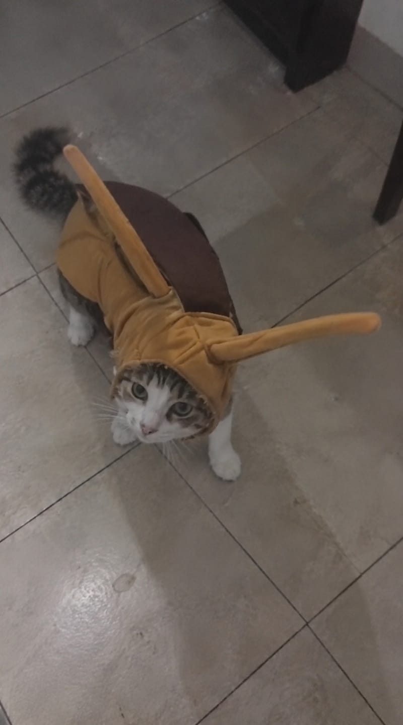 Customer photo review of Bug Bite Pet costume