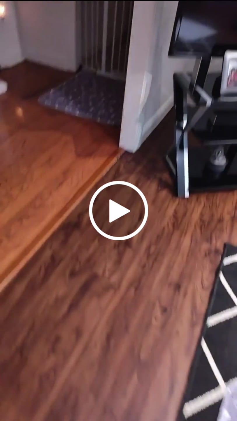 Customer video review of PawSpot™ — El último tapete para pipí que comprarás
