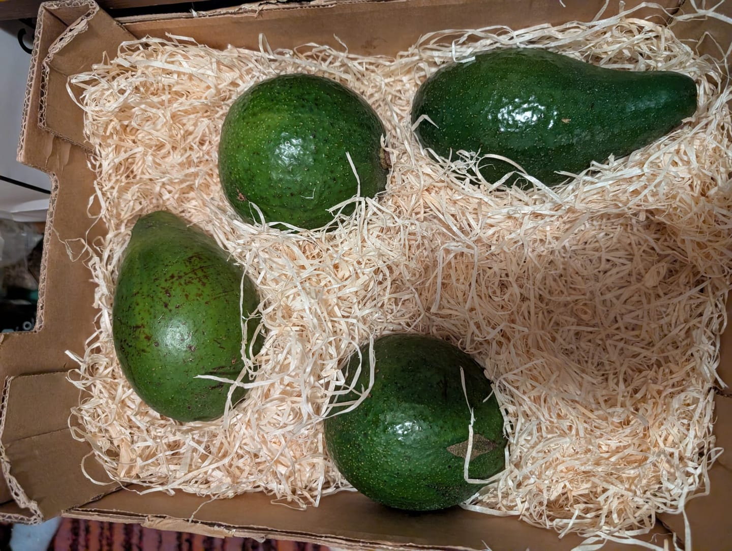 Customer photo review of Avocado-Mix 1kg