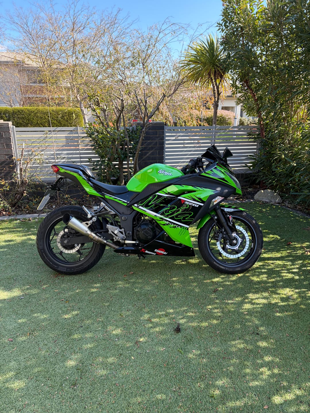 Customer photo review of Black Green Fairing Kit For Ninja 300 Fairings 2013 2014 2015 2016 2017 Aftermarket