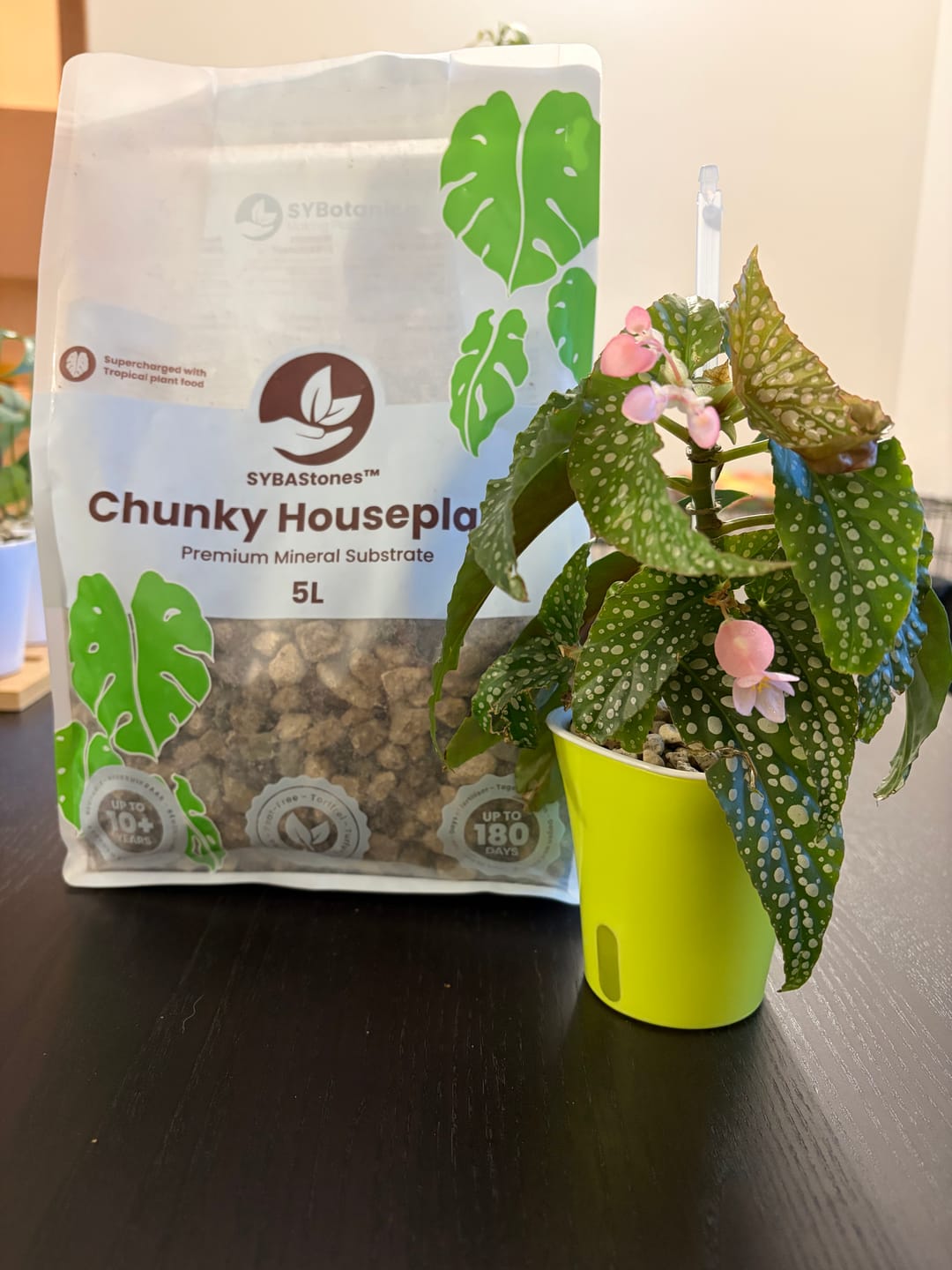 Customer photo review of Chunky Houseplant Mineral Mix
