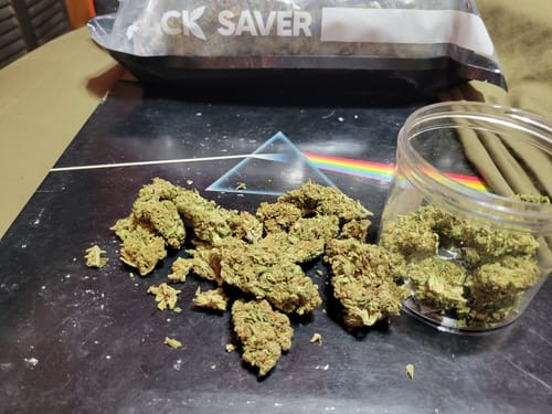 Customer's Cheetah Piss THCA flower buds scattered on a surface next to a clear plastic container and packaging.