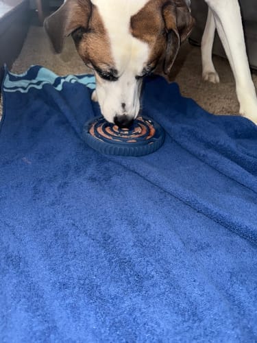 Customer photo review of FreezSwirl - Durable Stimulation Toy