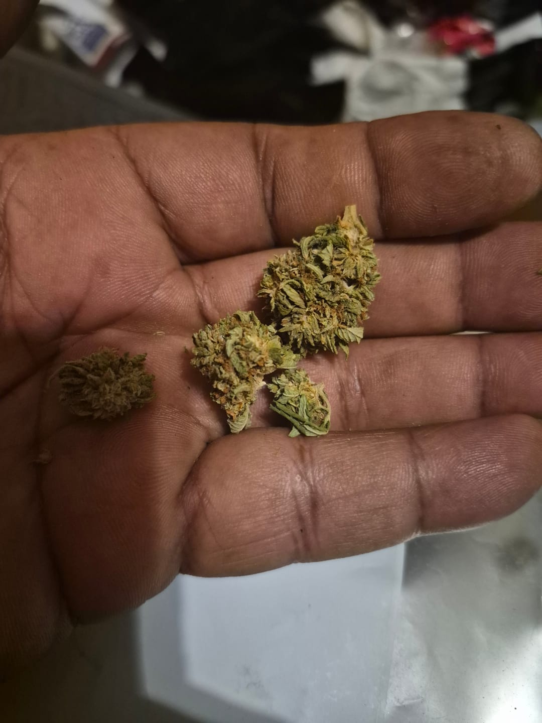 Customer photo review of The 5 OZ Reserve for $99.95
