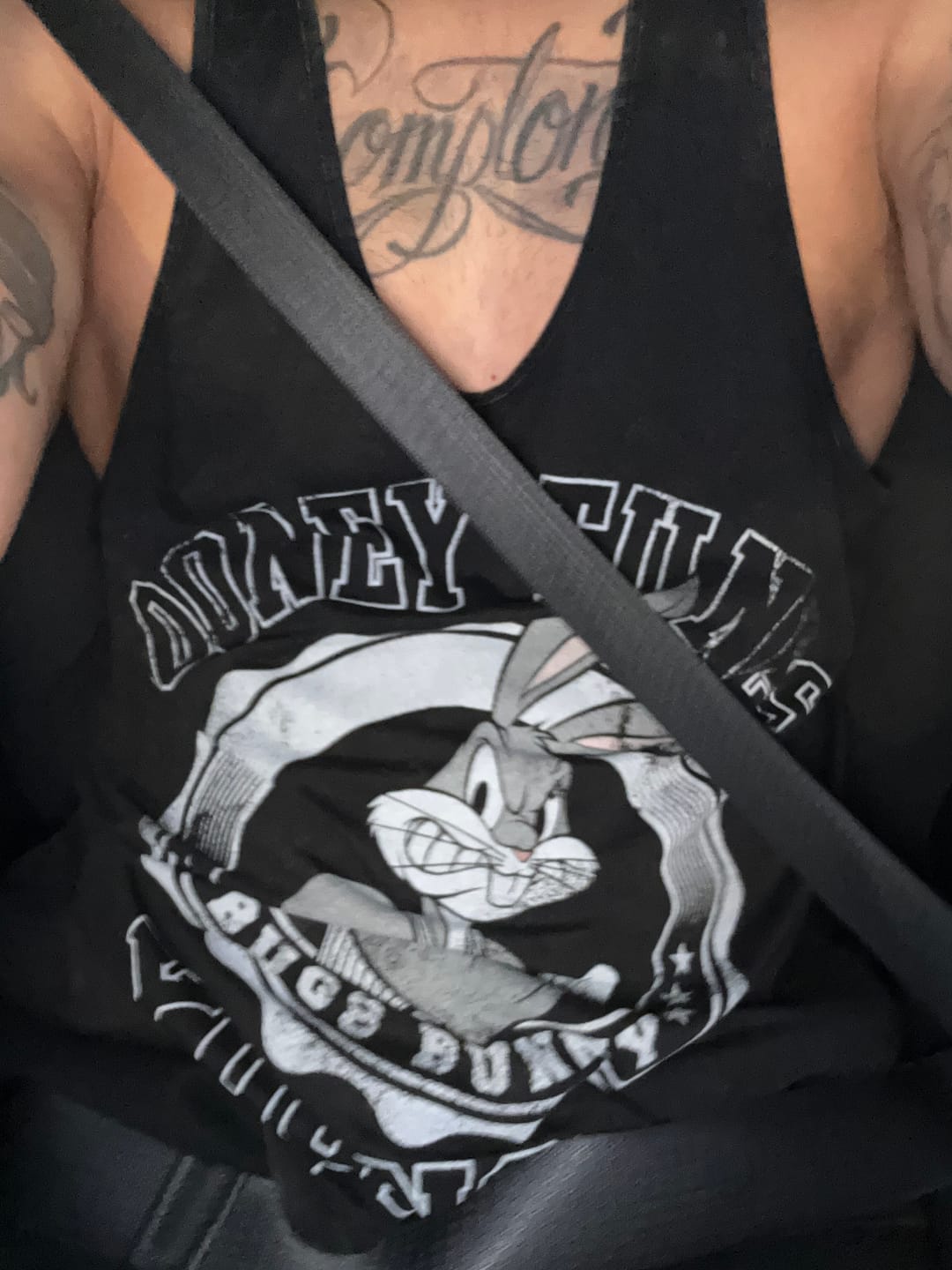 Customer photo review of 3078 - Looney Tunes Stringers