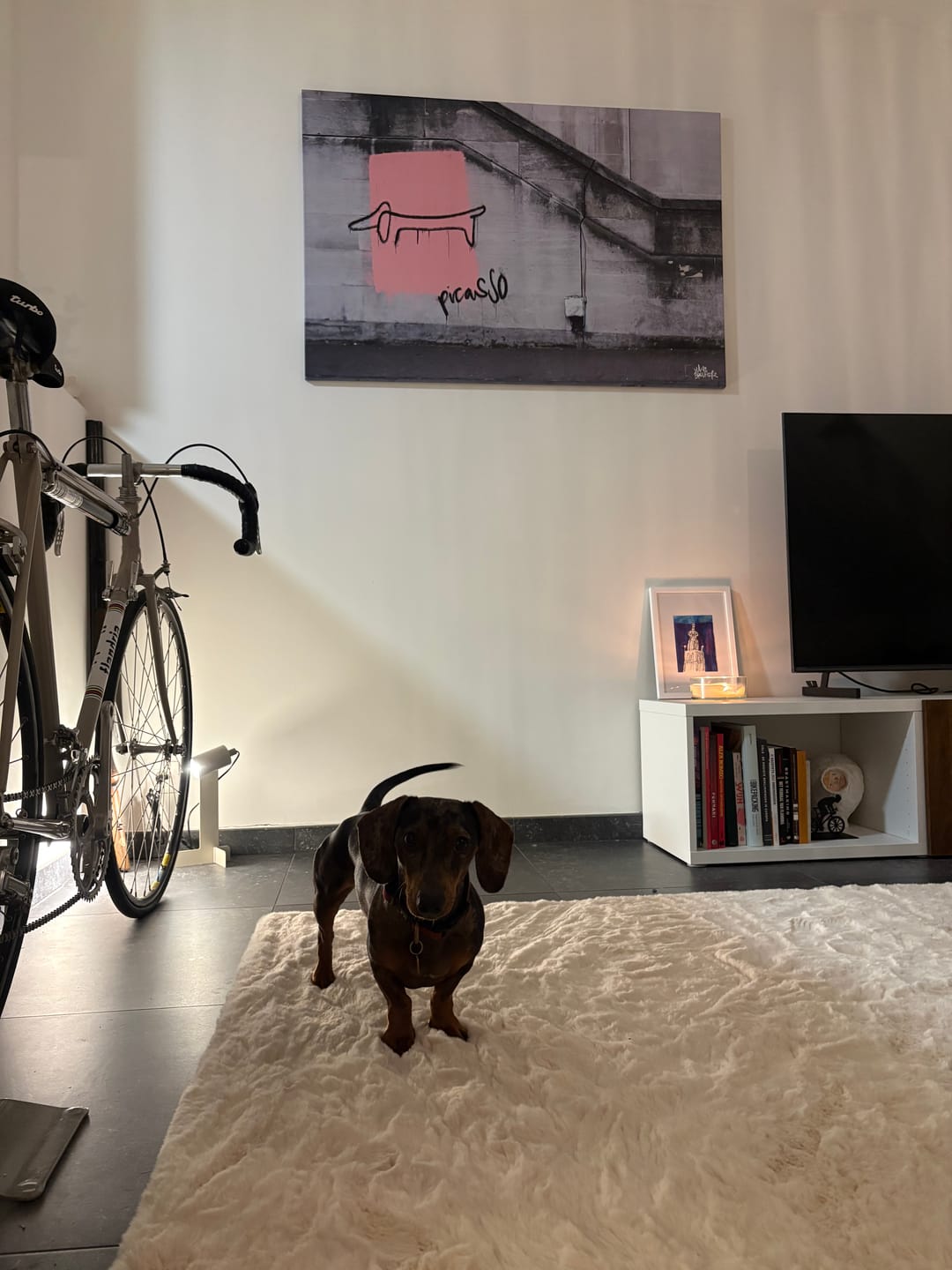 Customer photo review of Picasso hond (tekkel) 21e eeuw versie