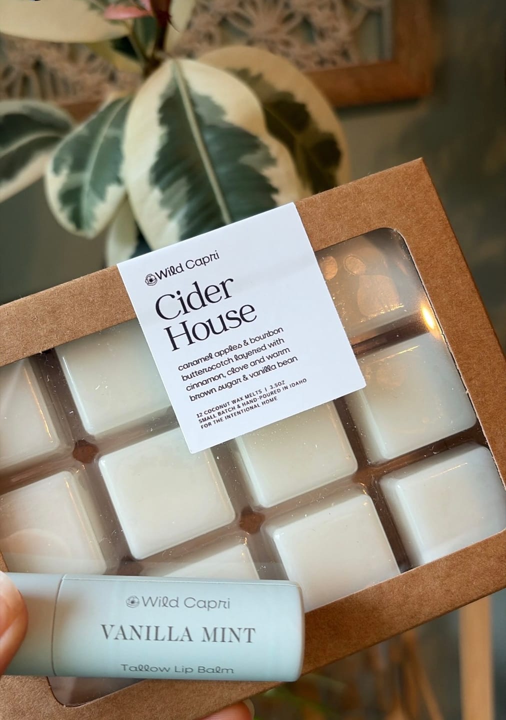 Customer photo review of Cider House Wax Melts | Small Batch Exclusive