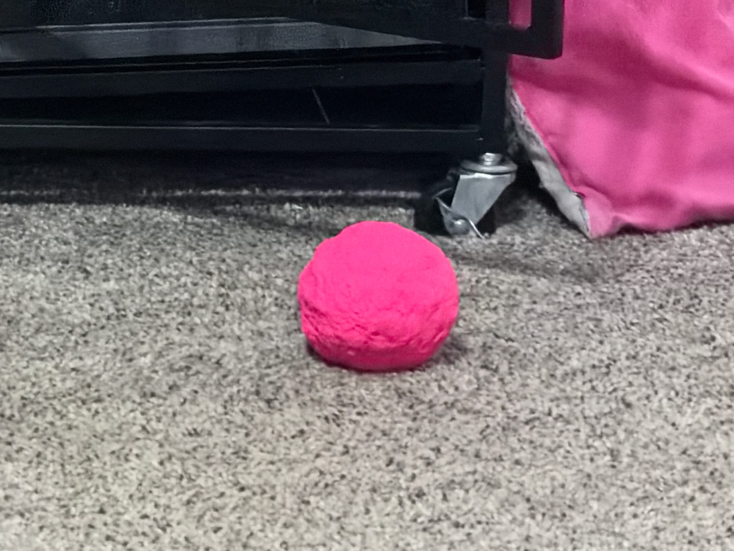 Customer photo review of WUNDERball - Best Fetch Toy