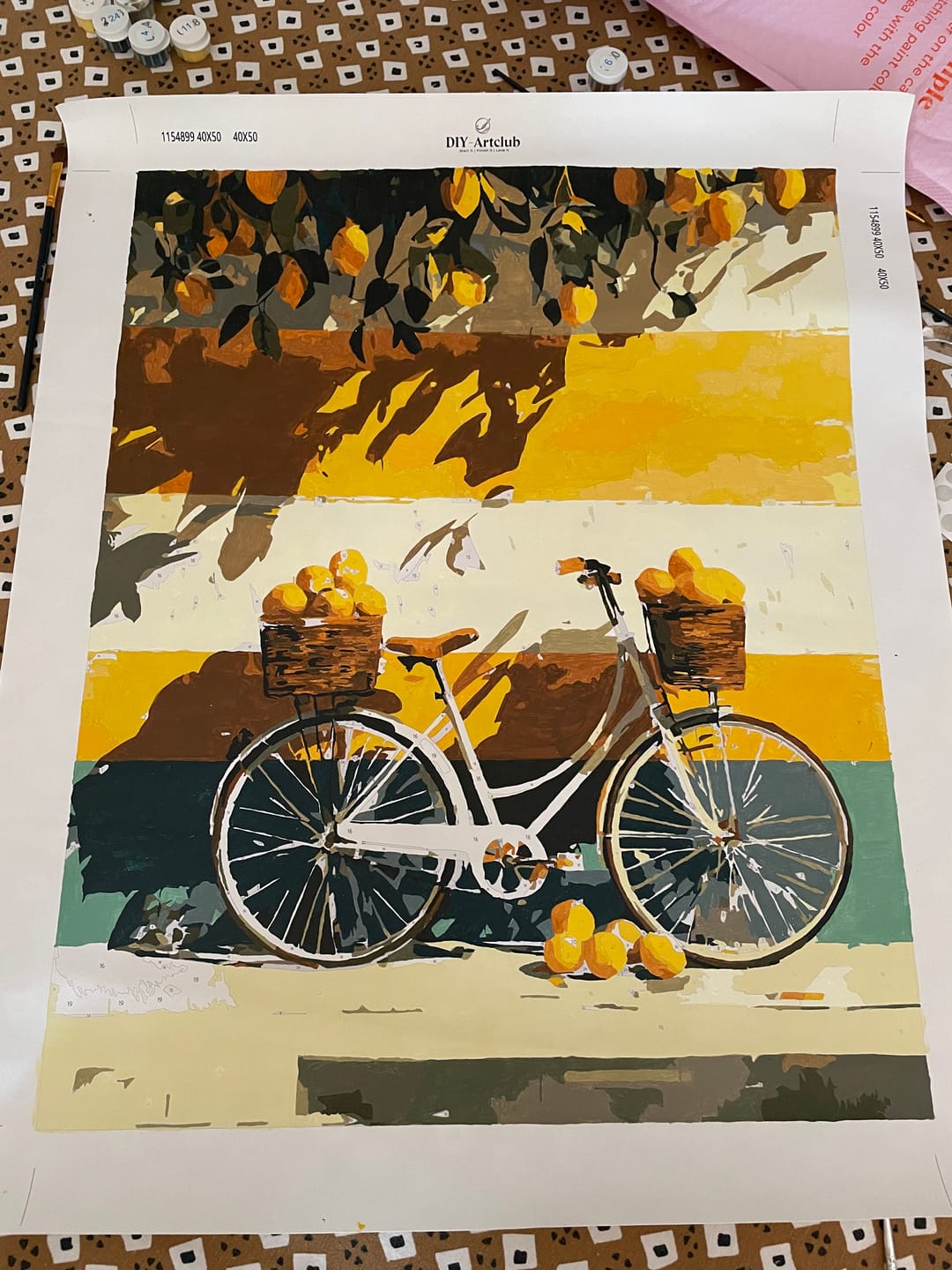 Customer photo review of Summer Ride | Paint by Number