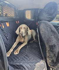 Customer photo review of Aktoclean RoadBed™️ – Extension de banquette rigide pour chien