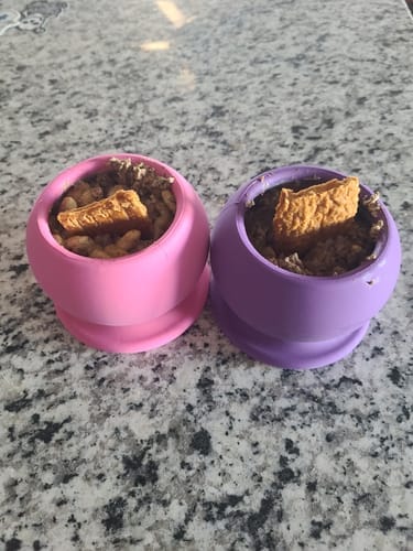 Customer photo review of FreezBall Bundle — Best value on the most-loved bones
