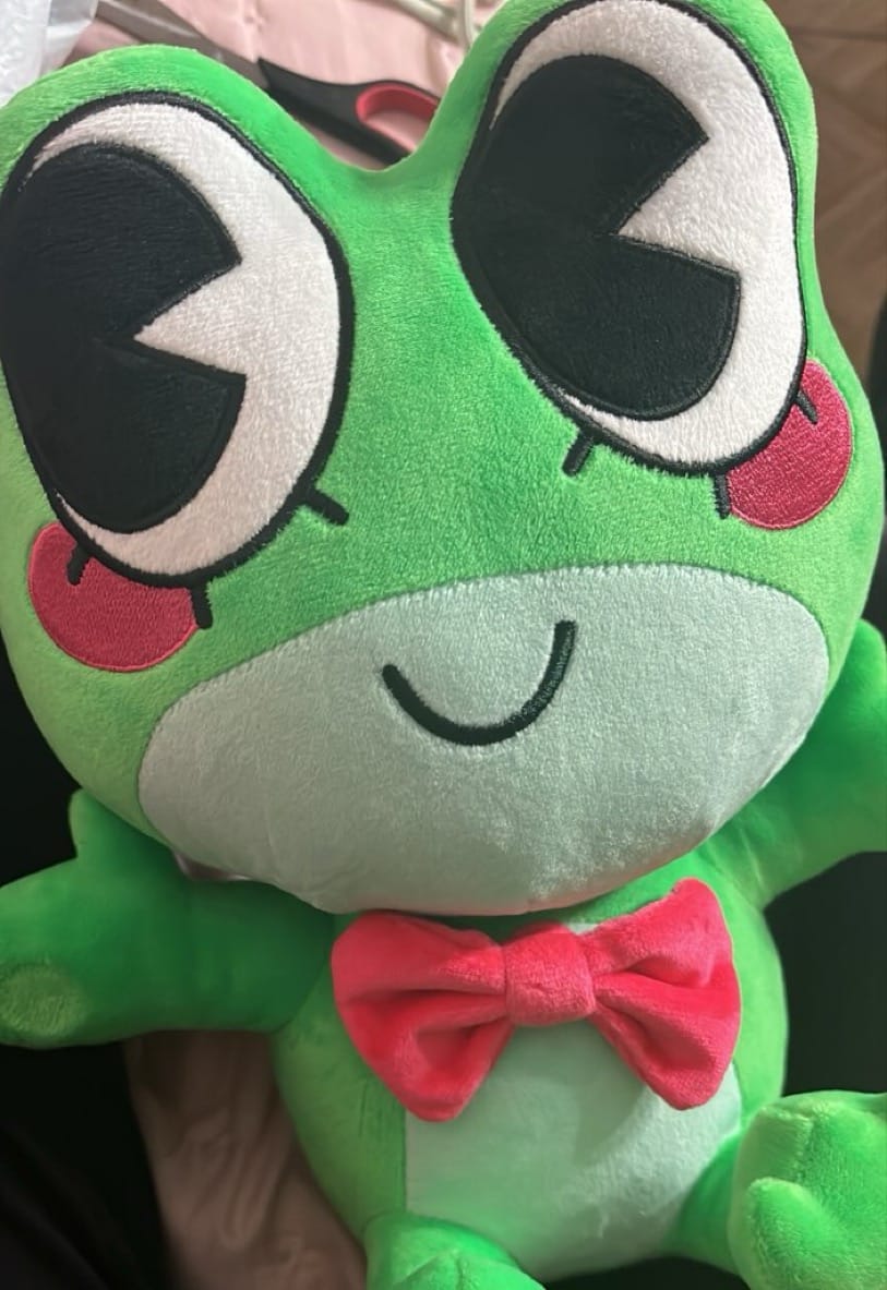Customer photo review of Ribbit Plush