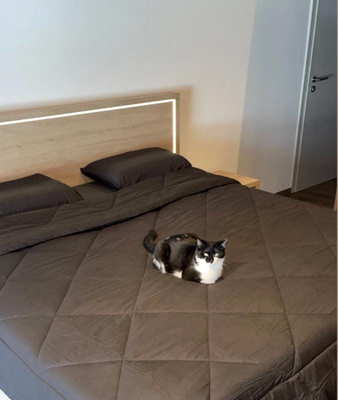 Customer photo review of PetClean - Couette sans housse 2-en-1