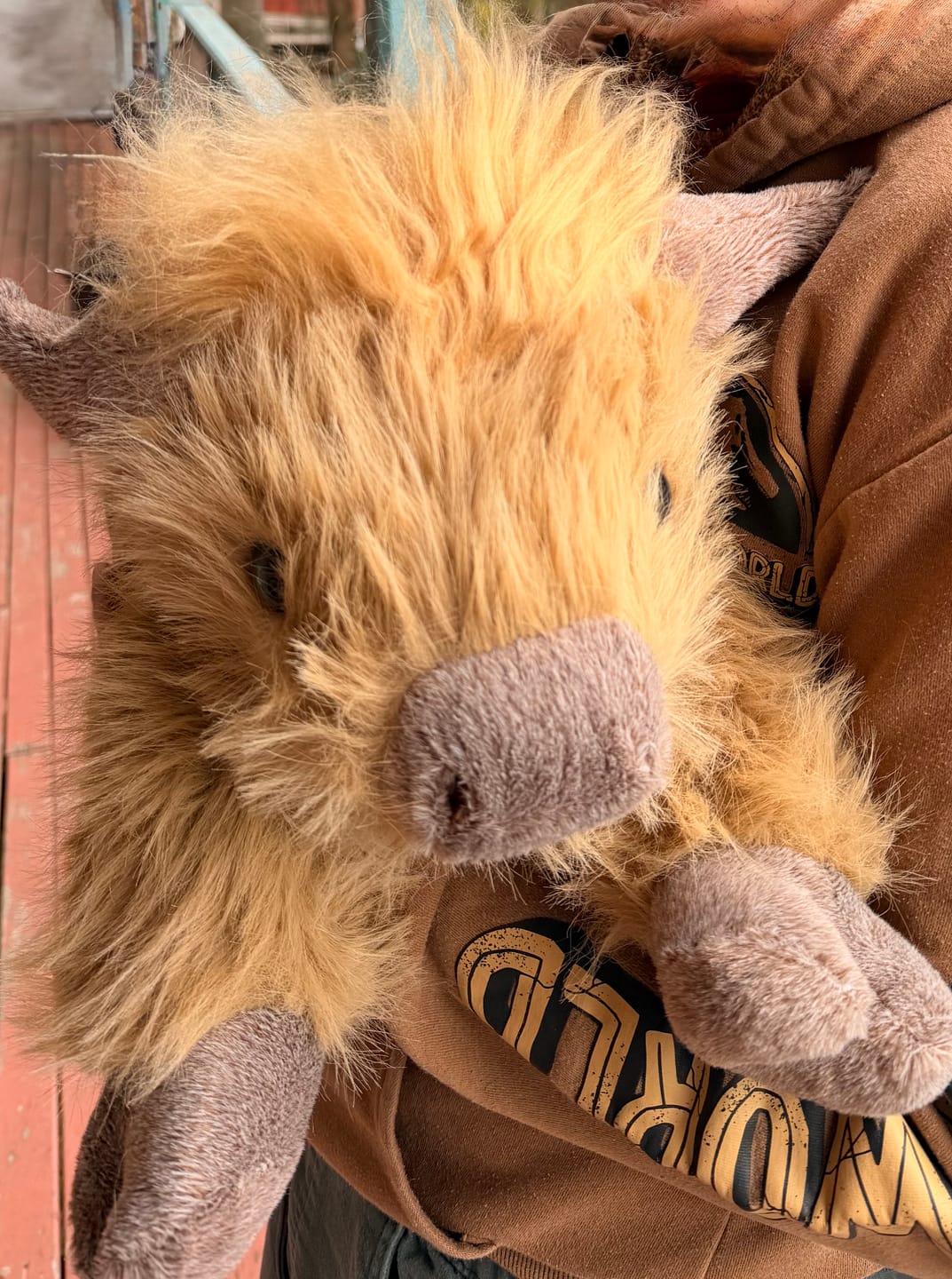 Customer photo review of Highland Cow Weighted Stuffed Animal