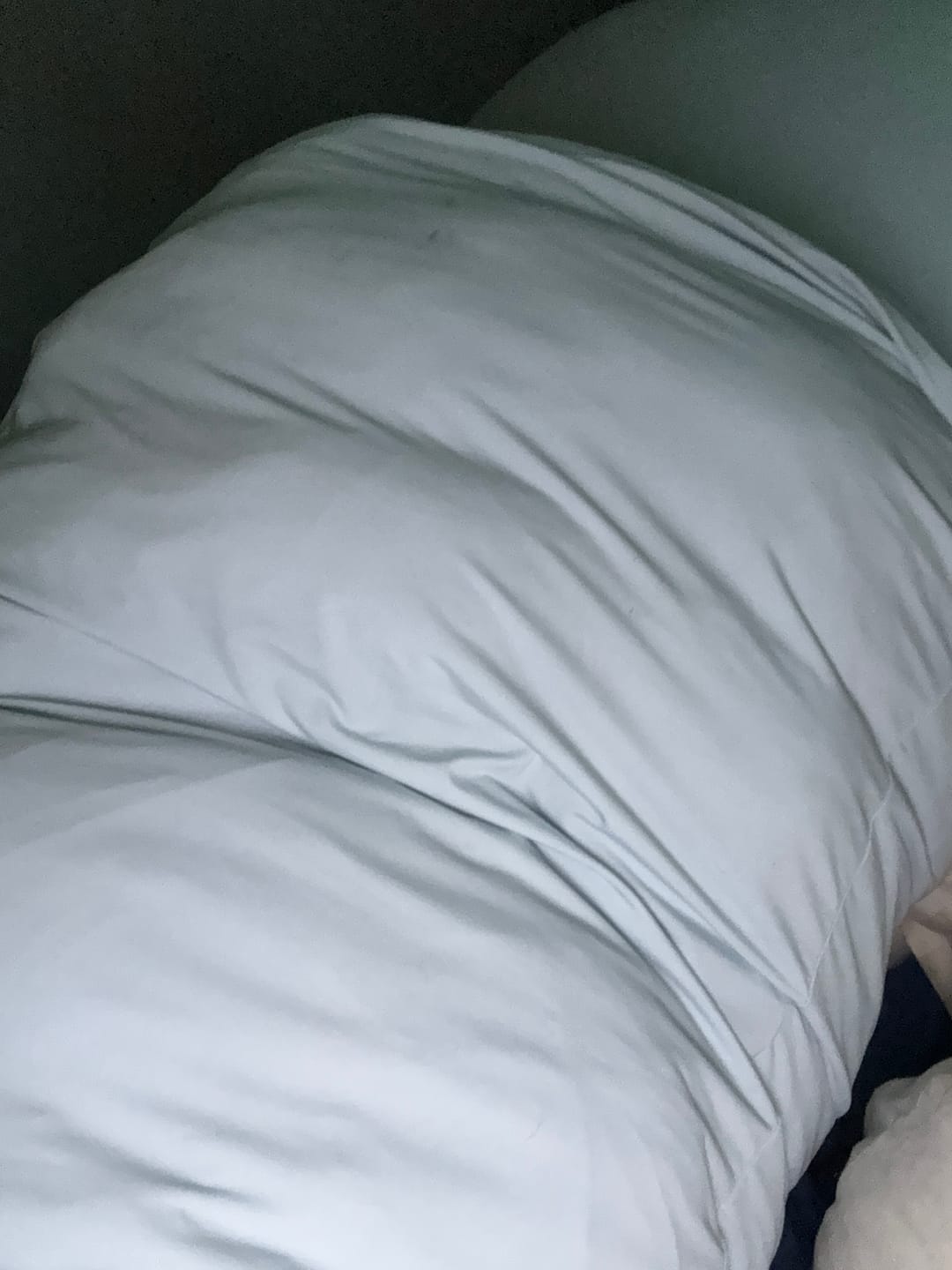 Customer photo review of Puff Pillow