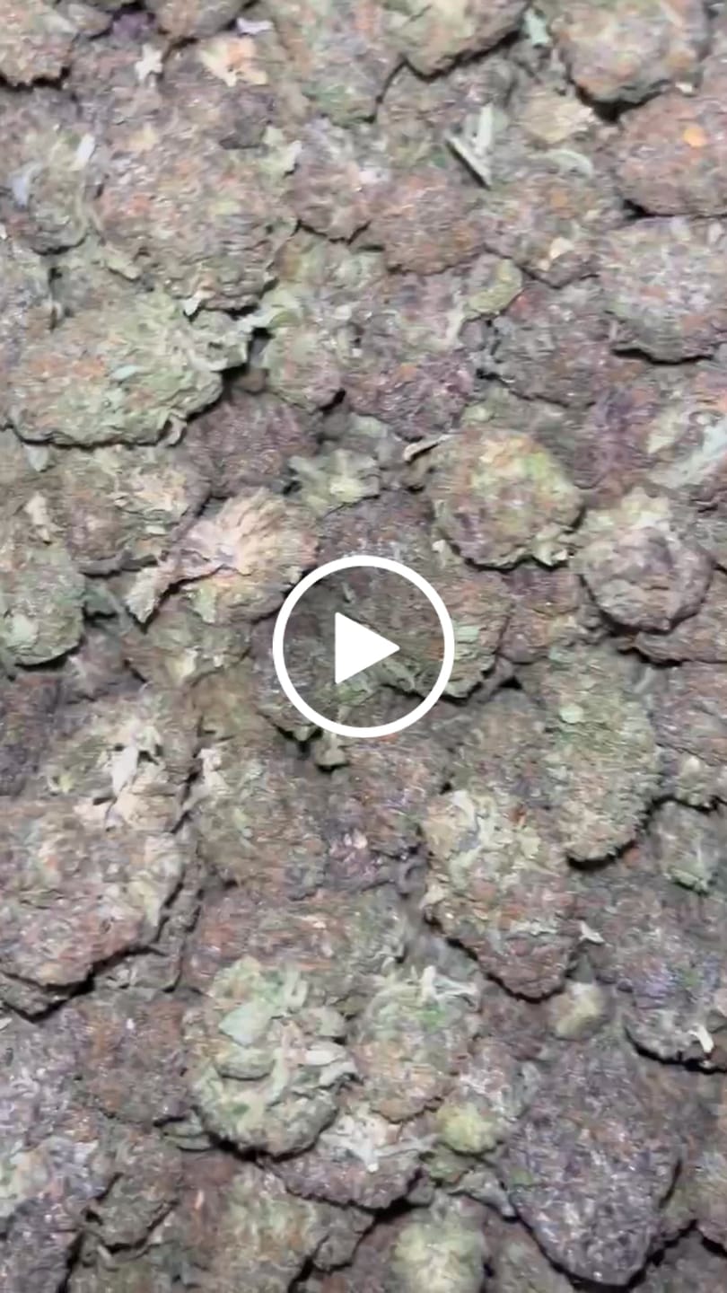 Customer video review of (Buy 1 Get 1 Free) No5. Sherbet Shake 1oz