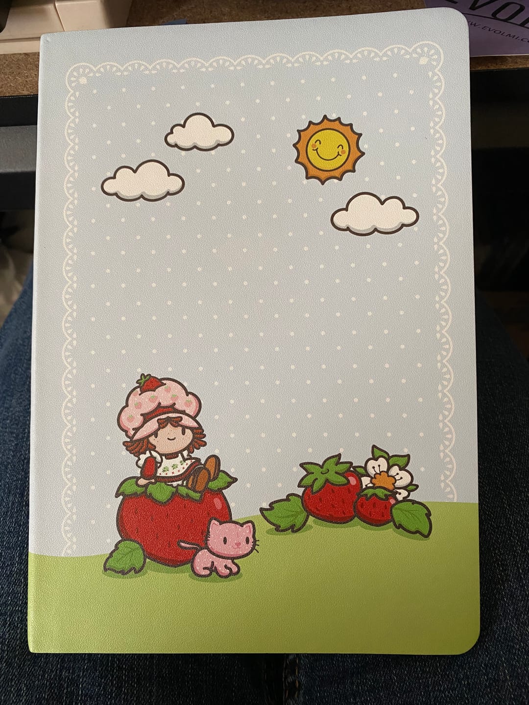 Customer photo review of Strawberry Shortcake Mini Journal