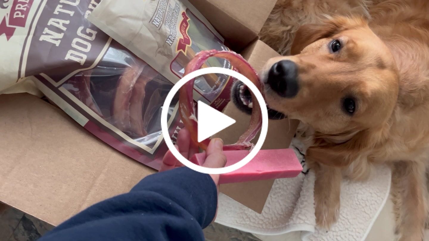 Customer video review of Large Bully Stick Ring