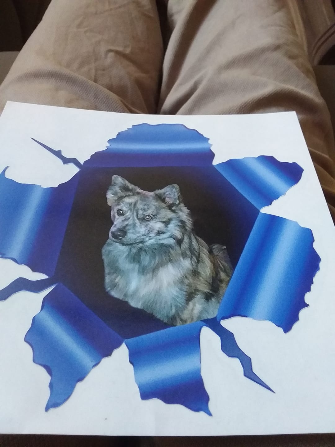 Customer photo review of Photo animal curieux - Autocollant pour voiture personnalisé