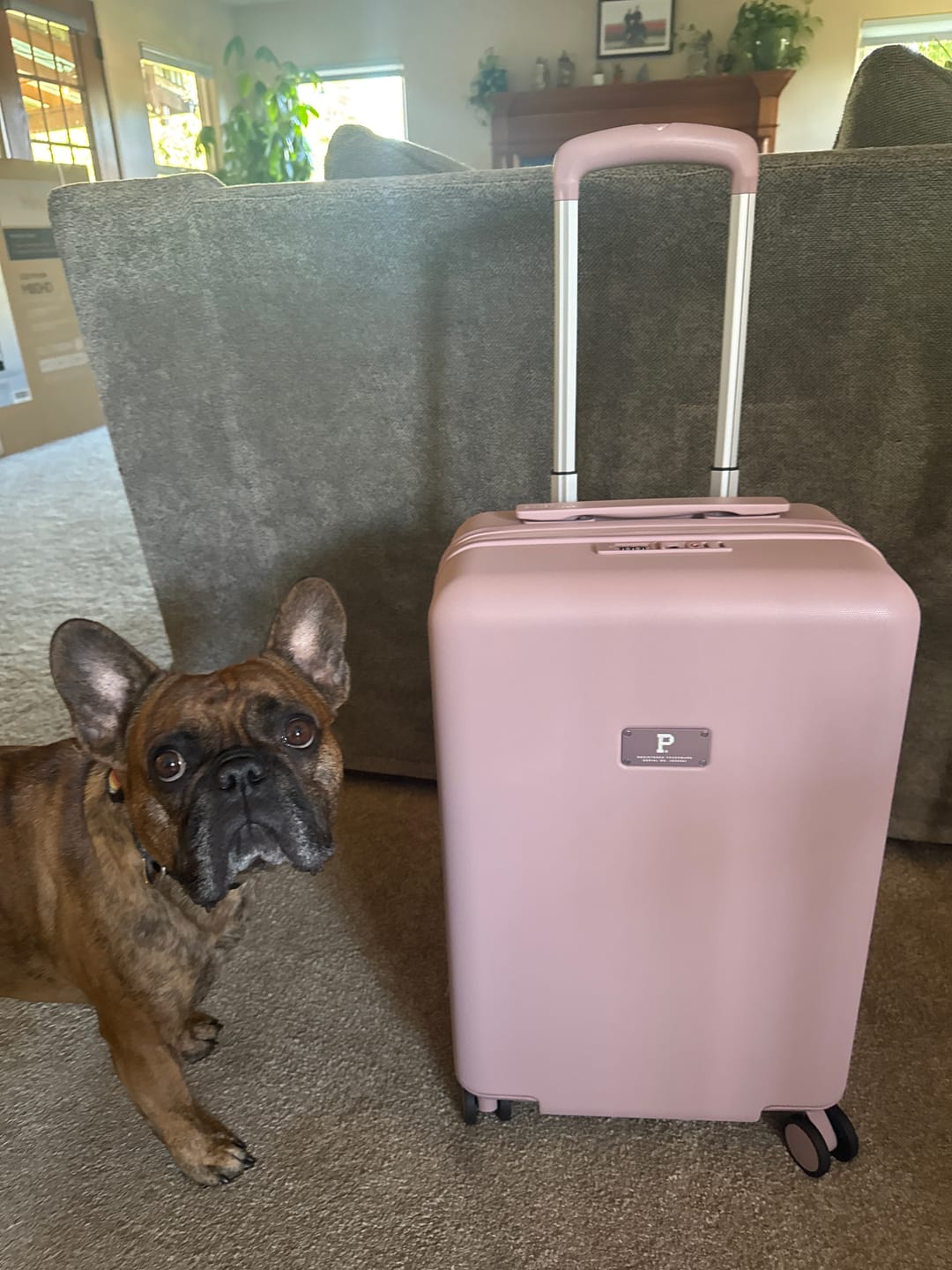 Customer photo review of Cascade Carry-On