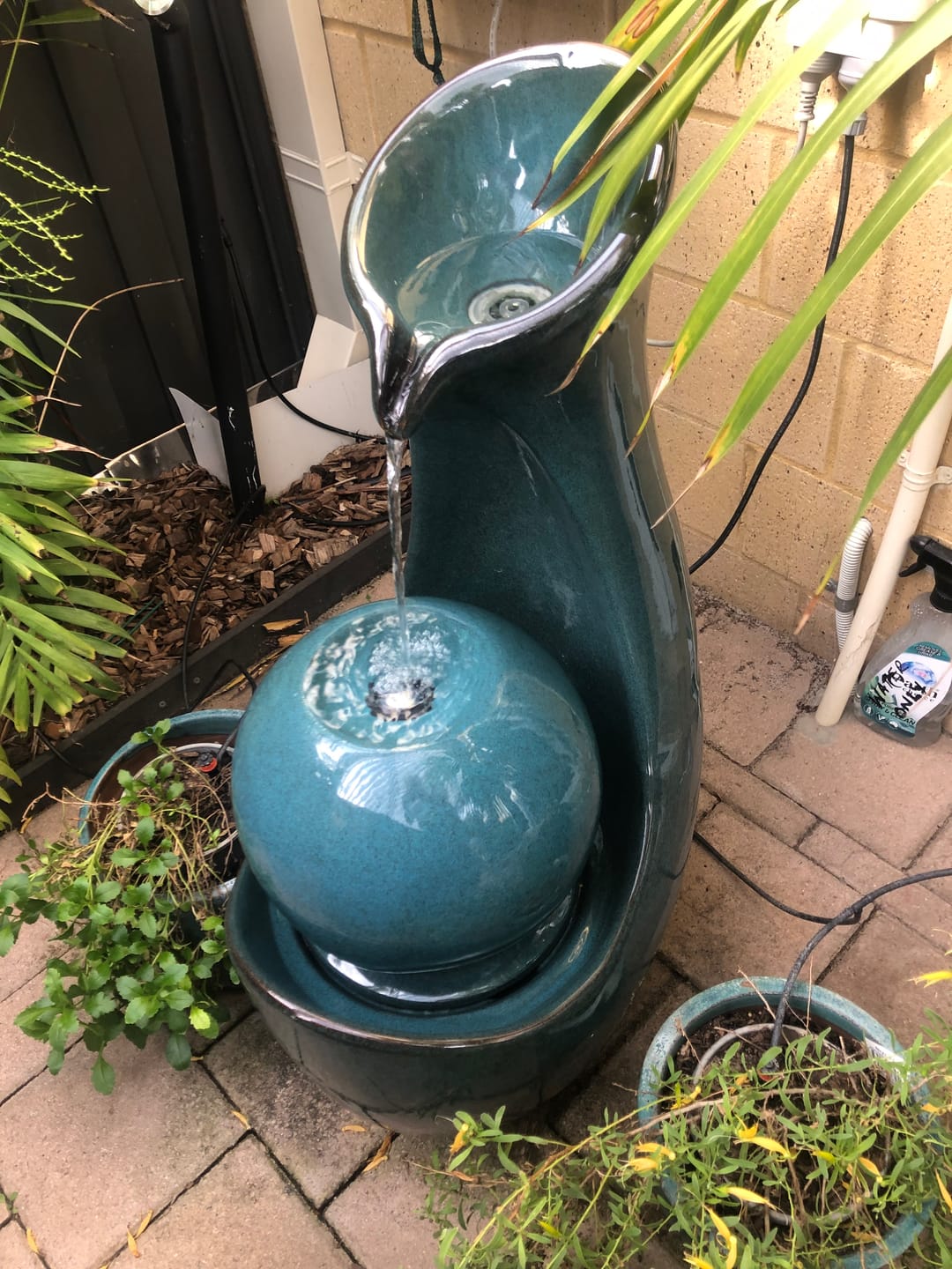 Customer photo review of SeaStar Water Pump for Fountains 240V - 240LPH to 855LPH