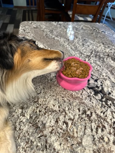 Customer photo review of FreezCup - Long-Lasting Chew Fun