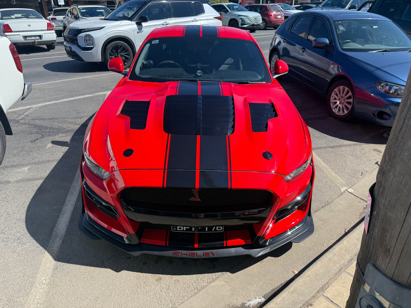 Customer photo review of Spray Coat