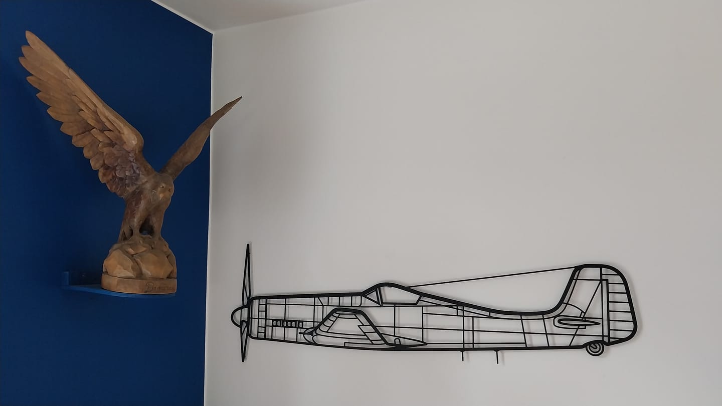 Customer photo review of Ta-152H-1 Silhouette Metal Wall Art