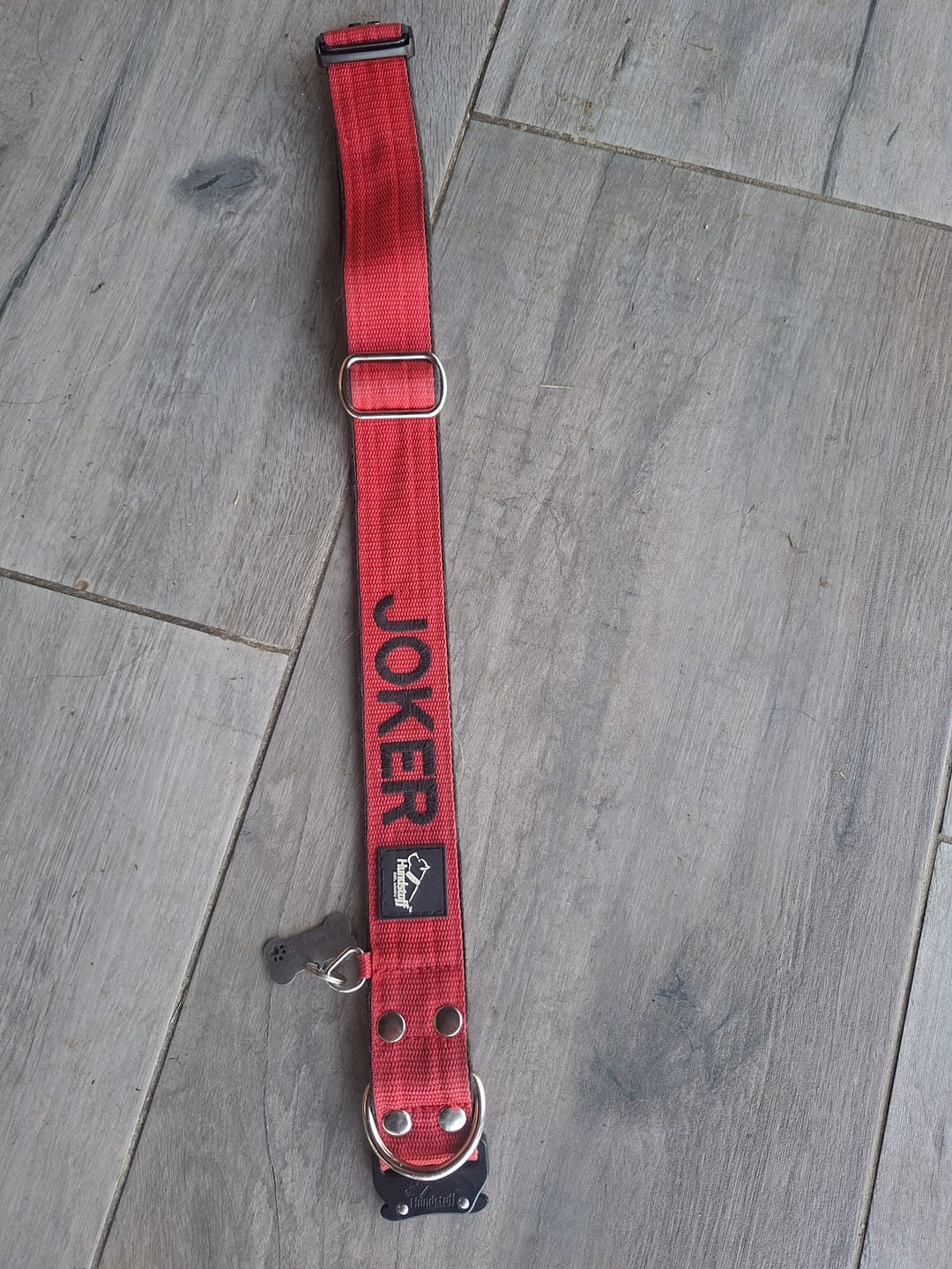 Customer photo review of Obroża dla psa z imieniem - Personal Extreme