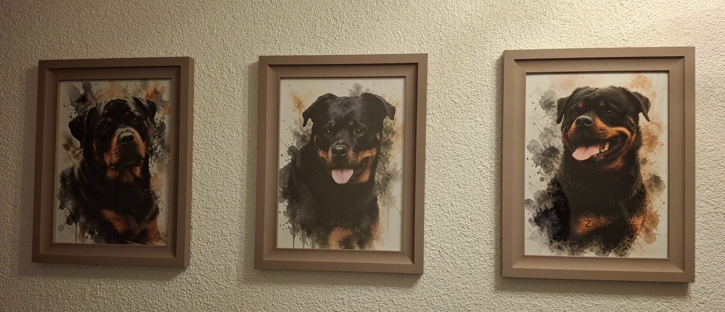 Customer photo review of Realistisch Aquarelportret - Gepersonaliseerde Poster
