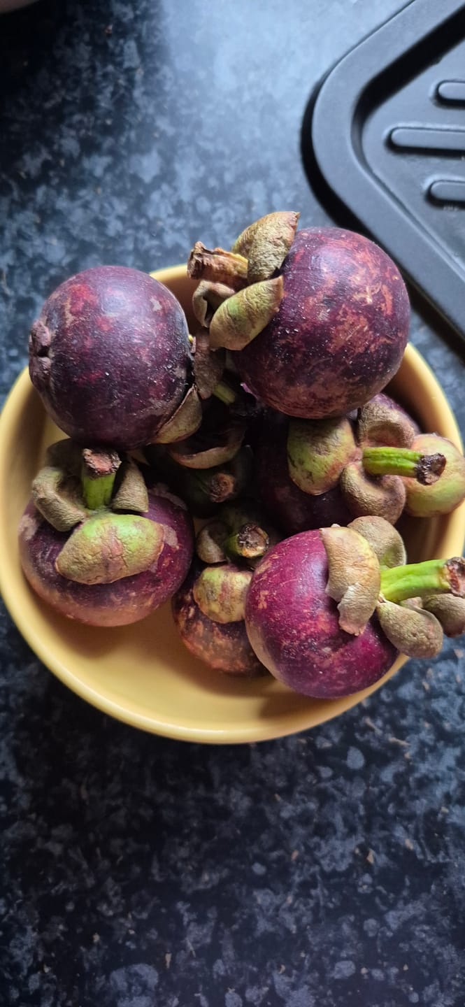 Customer photo review of Mangostan (Mangosteen) Sommeraktion %