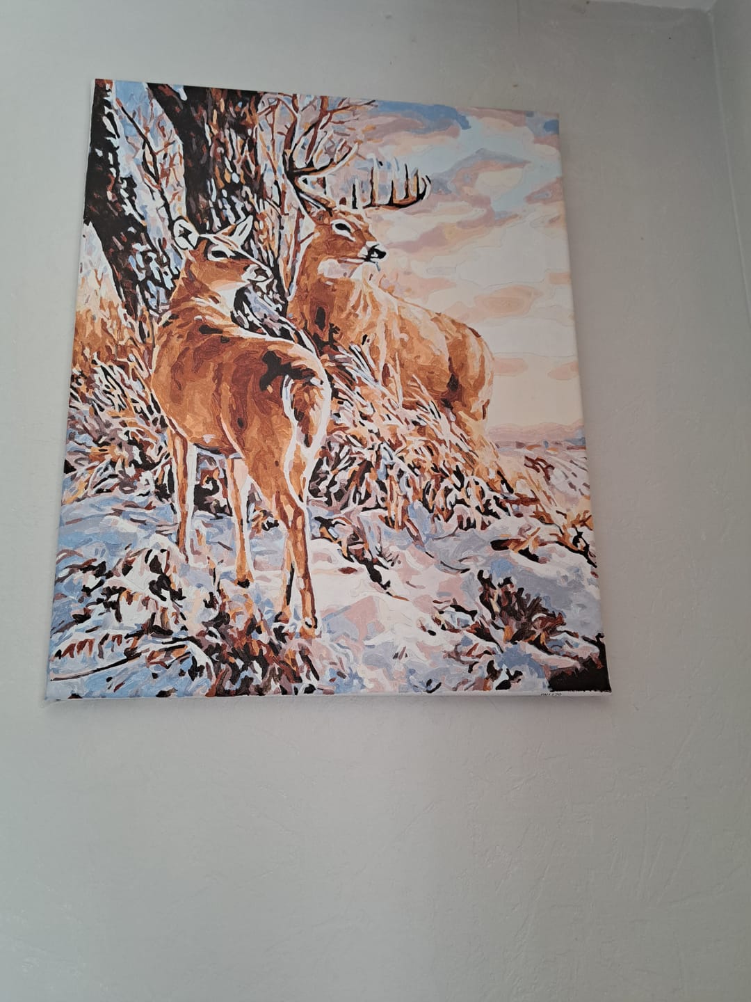 Customer photo review of Cerfs en Hiver