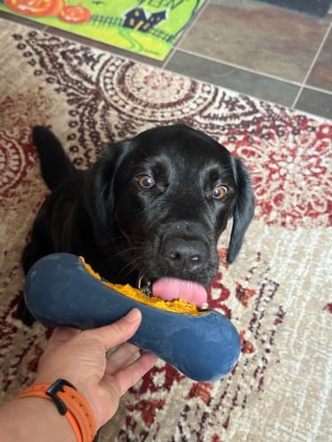 Customer photo review of Freezstick - Indestructible Enrichment Chew