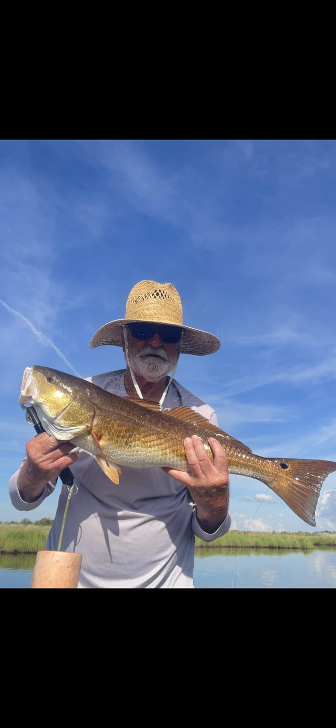 Customer photo review of 8 Strand No Fade Braided Fishing Line Series - Super Sleek & Smooth Braided Fishing Line - High Performance Fishing Line For Saltwater & Freshwater