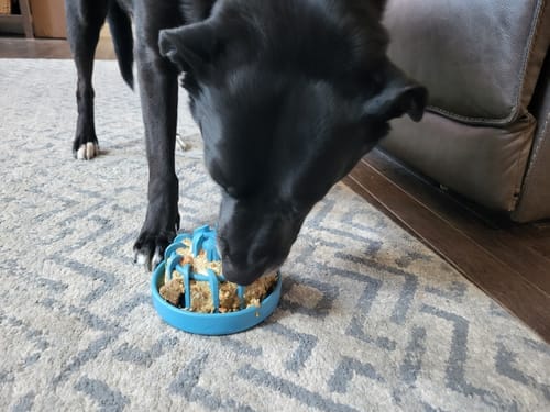 Customer photo review of FreezLava Heavy-Duty Enrichment Chew